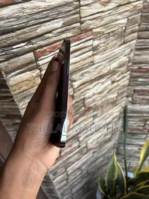 Apple iPhone 12 Pro (Used)