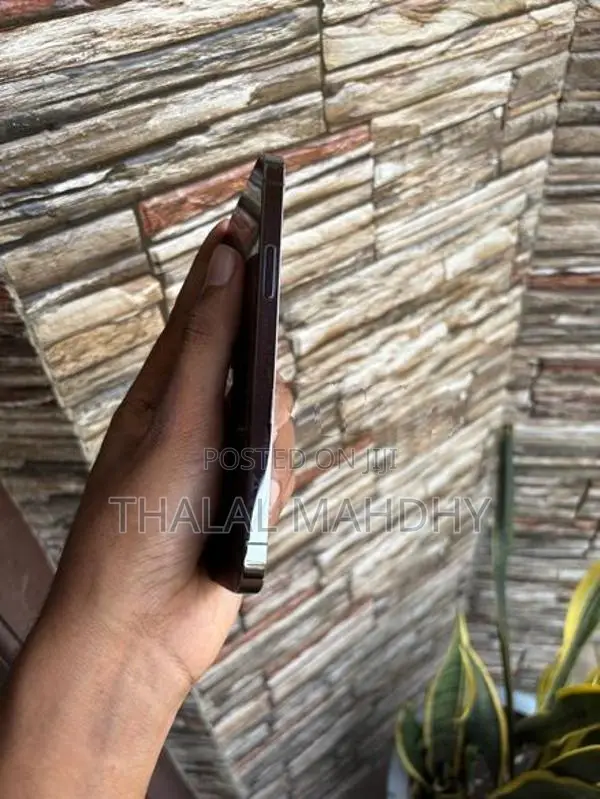 Apple iPhone 12 Pro (Used)