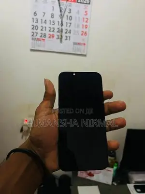 Apple iPhone 13 Display (Used)