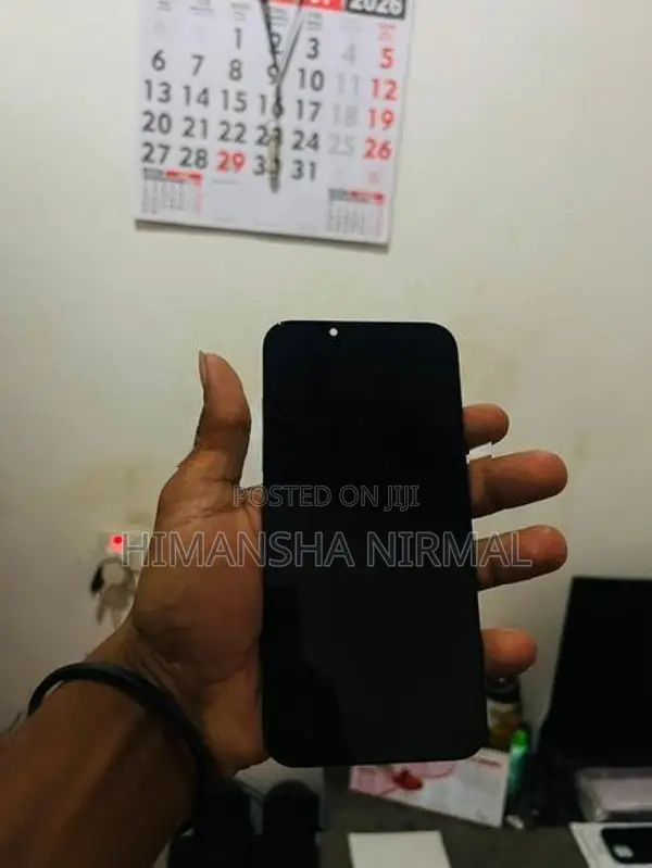 Apple iPhone 13 Display (Used)
