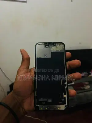 Apple iPhone 13 Display (Used)