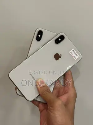 Apple iPhone X 256GB (Used)