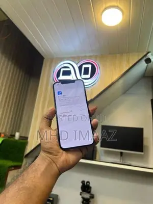 Apple iPhone 12 Pro Max (Used)