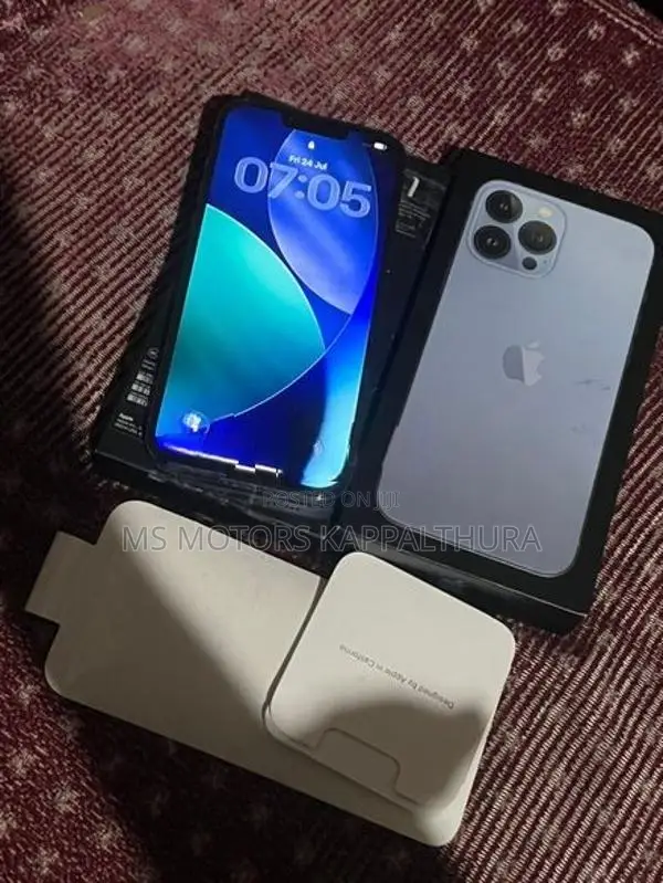 Apple iPhone 13 Pro Max 256GB (Used)