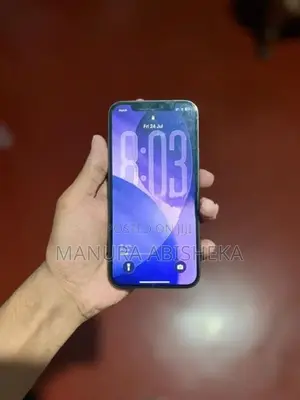 Apple iPhone 12 Pro (Used)