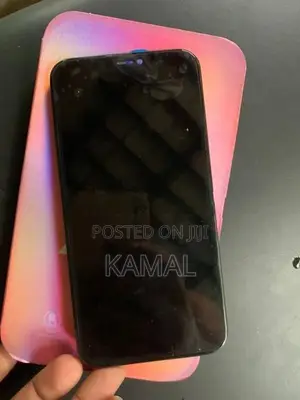 Apple iPhone X Display