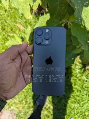 Apple iPhone 16 Pro Max 256GB (Used)