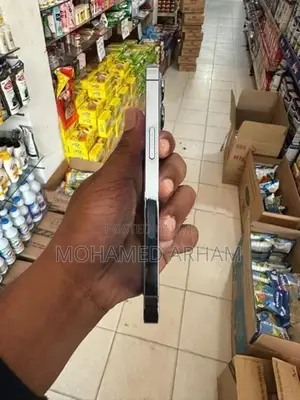 Apple iPhone 13 Pro (Used)