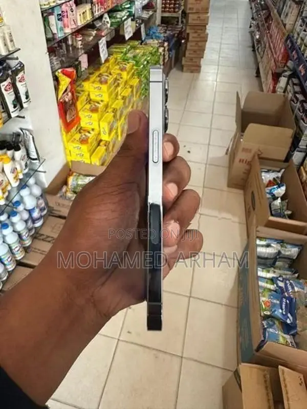 Apple iPhone 13 Pro (Used)