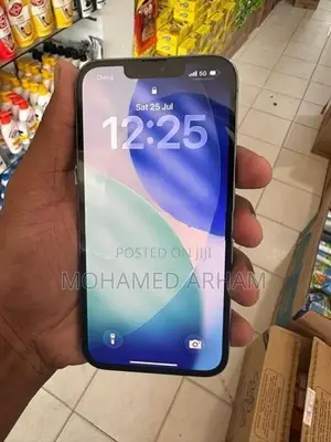 Apple iPhone 13 Pro (Used)