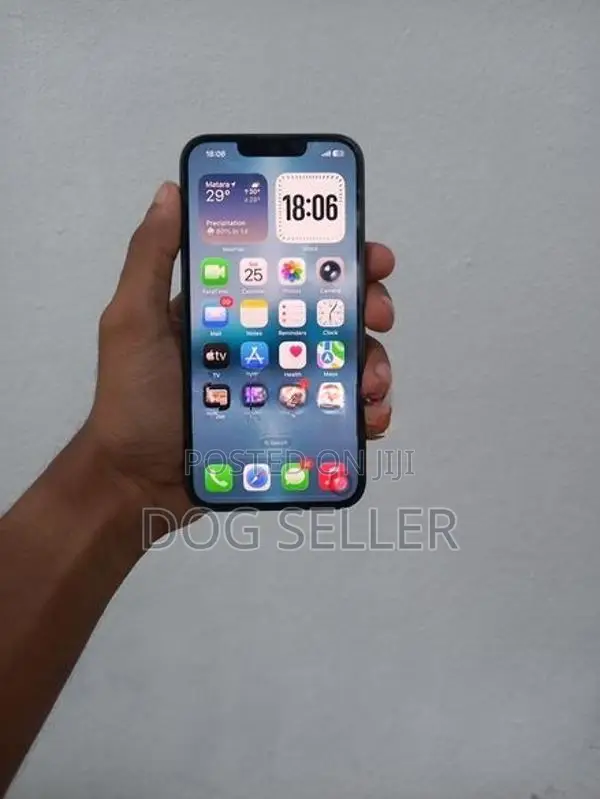 Apple iPhone 13 (Used)