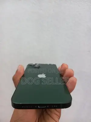 Apple iPhone 13 (Used)