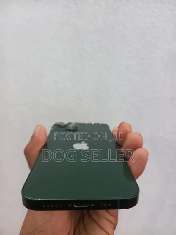 Apple iPhone 13 (Used)