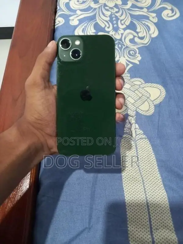 Apple iPhone 13 (Used)