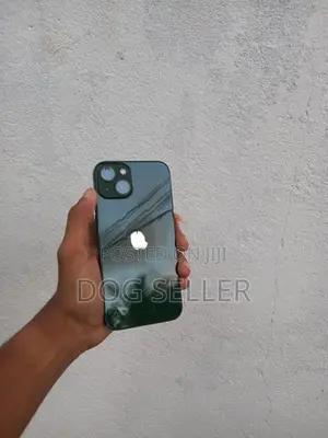 Apple iPhone 13 (Used)
