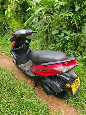 Ranomoto Pattaya 2017 Motorbike (Used)