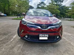 Toyota CHR 2019 SUV (Used)