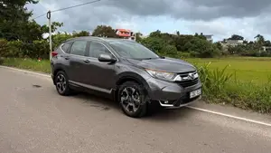Honda CRV 2019 SUV (Used)