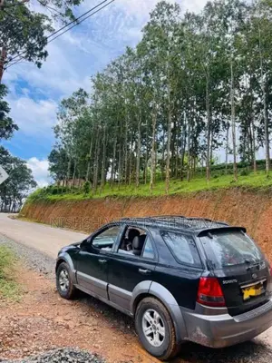Kia Sorento 2004 SUV (Used)