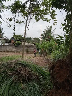 Kahathuduwa Gonapola Land Sale කහතුඩුව ගෝනපොල ඉඩමක් විකිනීමට