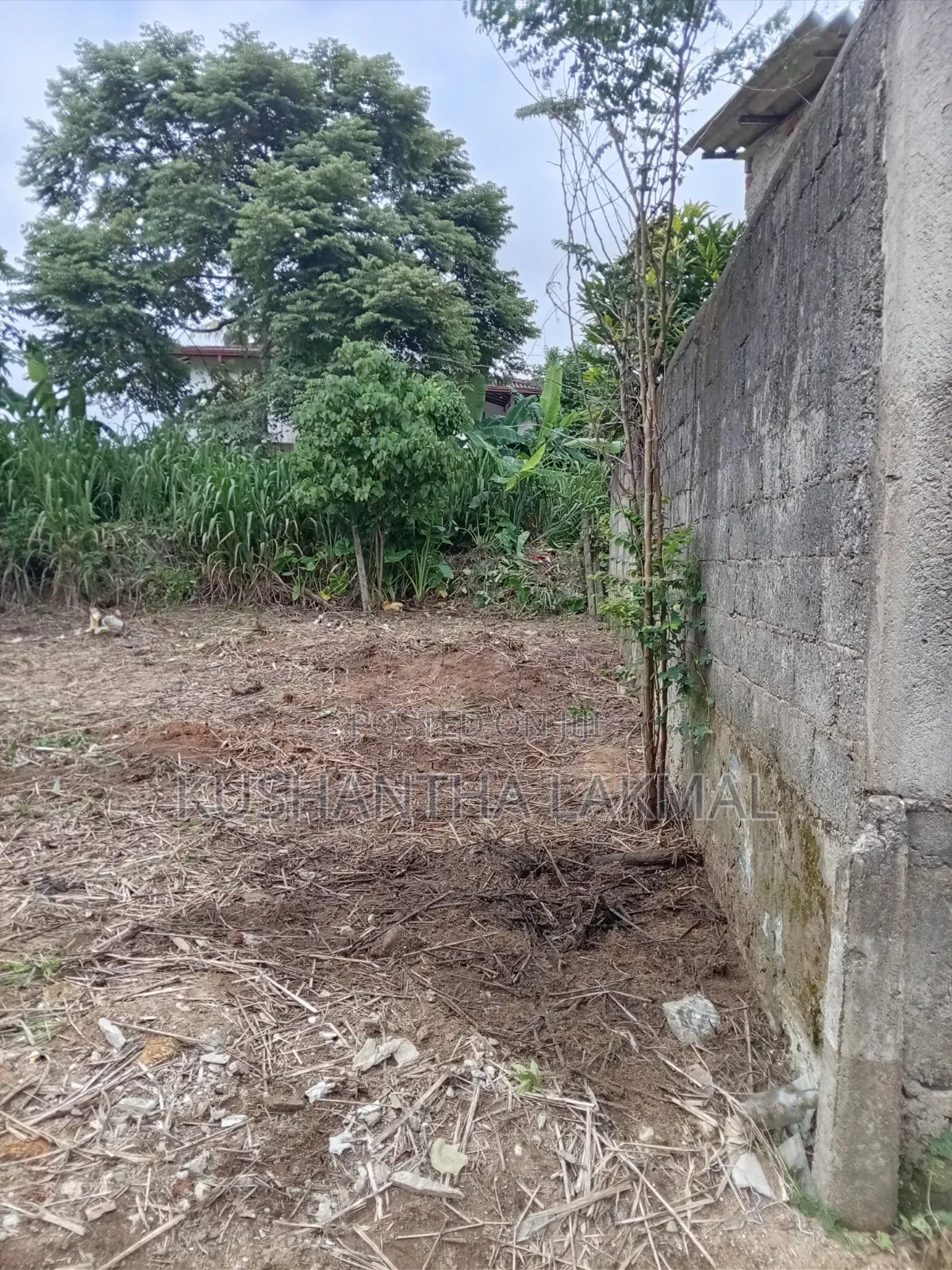 Kahathuduwa Gonapola Land Sale කහතුඩුව ගෝනපොල ඉඩමක් විකිනීමට