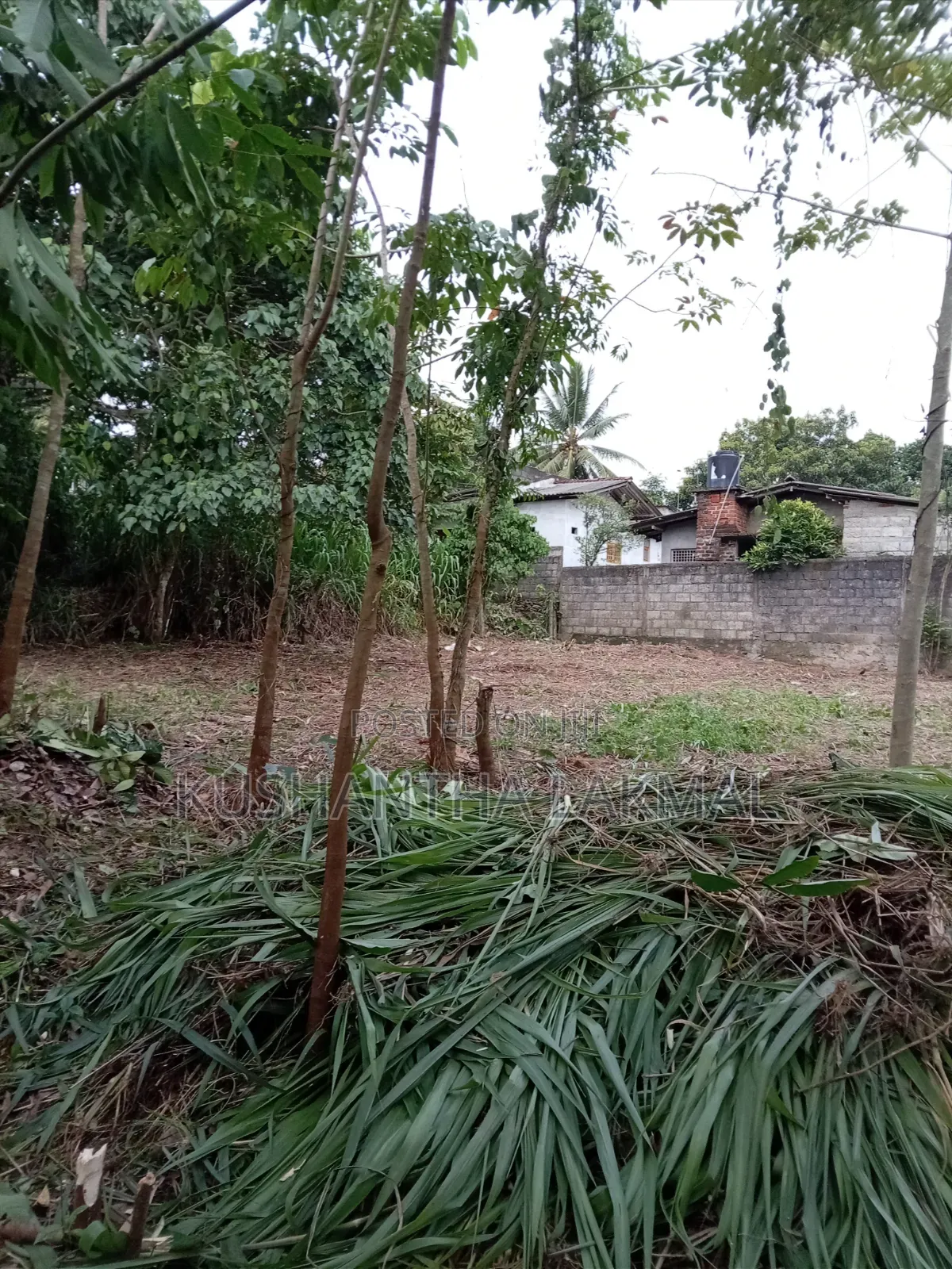 Kahathuduwa Gonapola Land Sale කහතුඩුව ගෝනපොල ඉඩමක් විකිනීමට