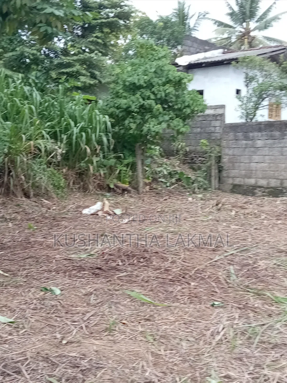 Kahathuduwa Gonapola Land Sale කහතුඩුව ගෝනපොල ඉඩමක් විකිනීමට