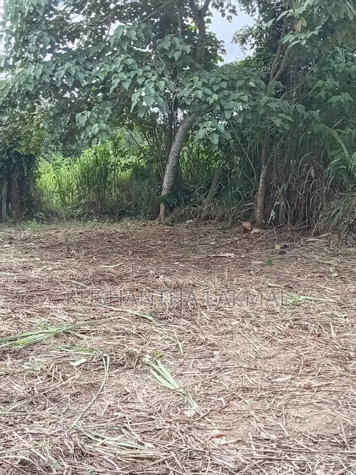Kahathuduwa Gonapola Land Sale කහතුඩුව ගෝනපොල ඉඩමක් විකිනීමට