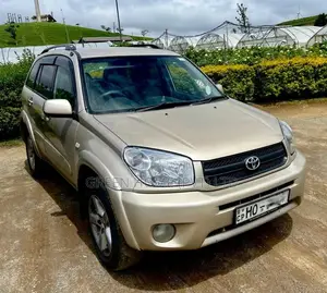 Toyota RAV4 2003 SUV (Used)