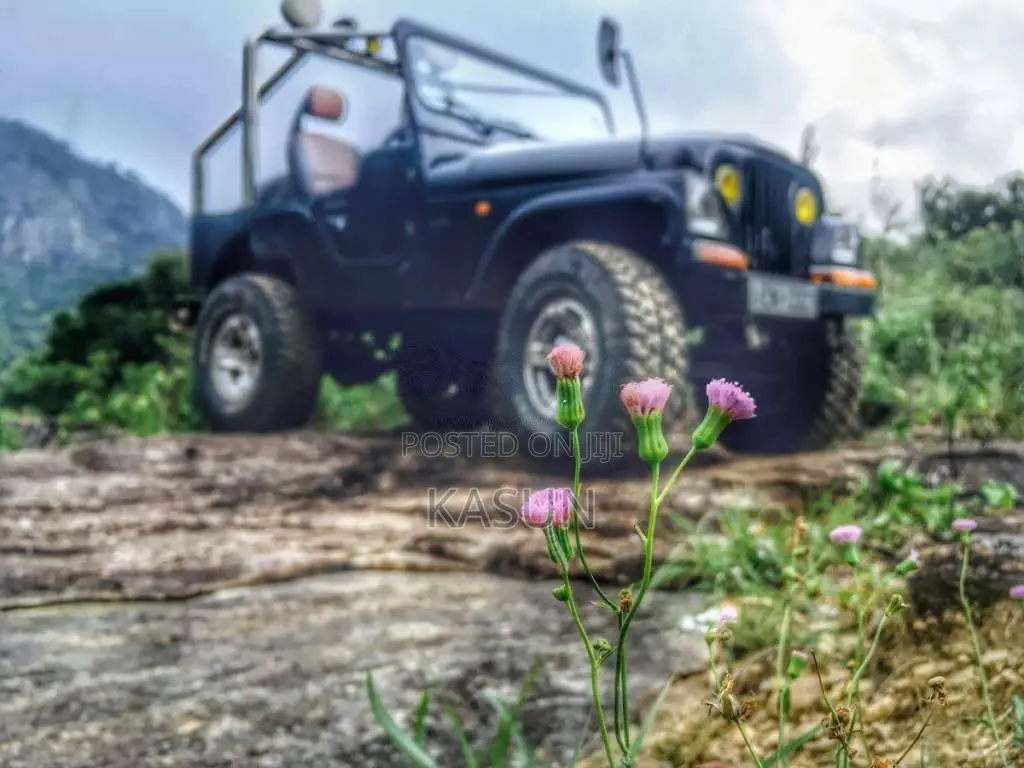 Willys 4DR5 1990 SUV (Used)