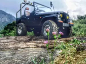 Willys 4DR5 1990 SUV (Used)