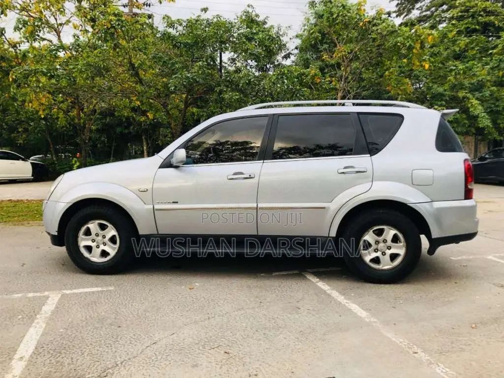 Micro Rexton 2009 SUV (Used)