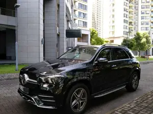 Mercedes-Benz GLE300 D 2019 SUV (Used)