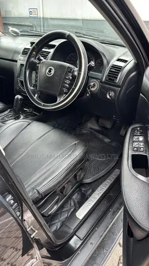 Micro Rexton 2009 SUV (Used)