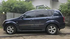 Micro Rexton 2009 SUV (Used)