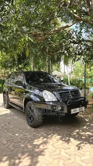 Micro Rexton 2009 SUV (Used)