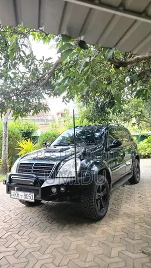 Micro Rexton 2009 SUV (Used)