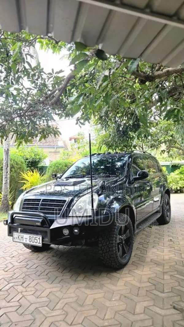 Micro Rexton 2009 SUV (Used)