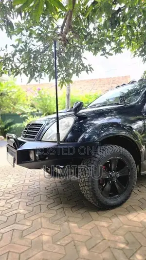 Micro Rexton 2009 SUV (Used)