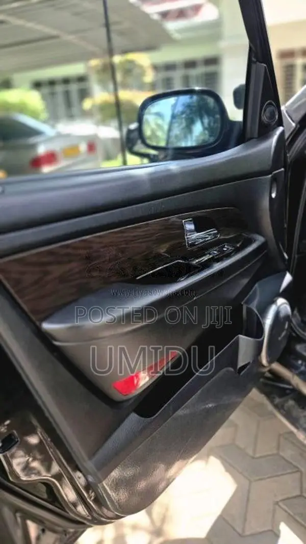 Micro Rexton 2009 SUV (Used)