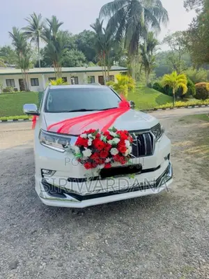 Toyota Land Cruiser Prado 2017 SUV (Used)