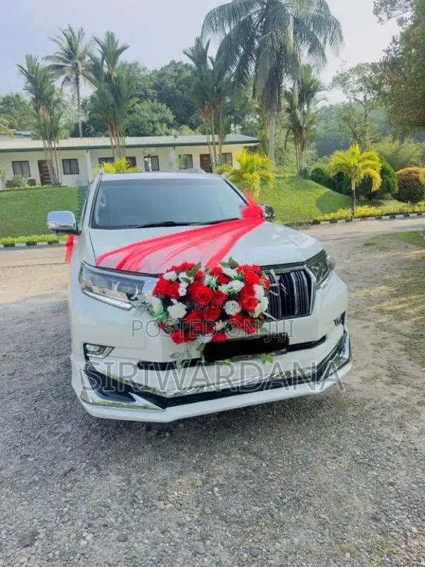 Toyota Land Cruiser Prado 2017 SUV (Used)