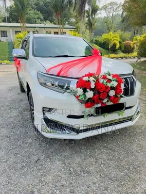 Toyota Land Cruiser Prado 2017 SUV (Used)