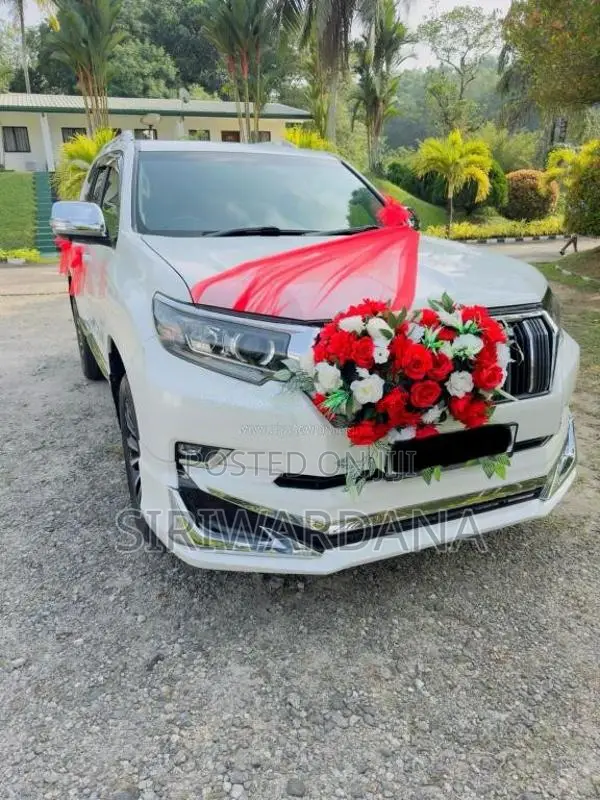 Toyota Land Cruiser Prado 2017 SUV (Used)