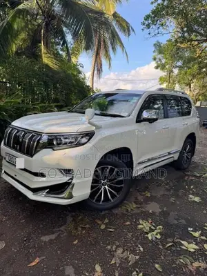 Toyota Land Cruiser Prado 2019 SUV (Used)
