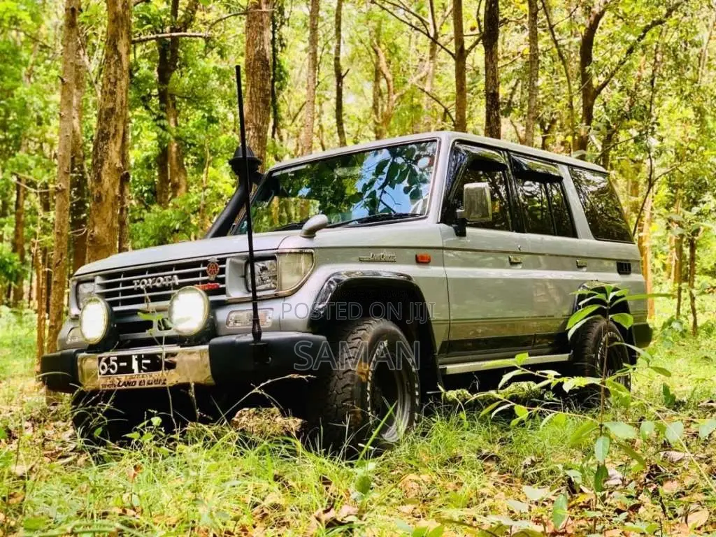 Toyota Land Cruiser 1992 SUV (Used)