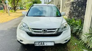 Honda CRV 2010 SUV (Used)