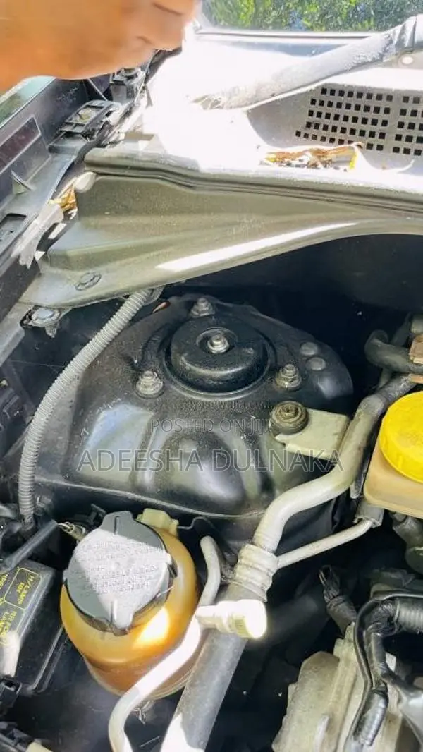 Nissan X-Trail 2001 SUV (Used)