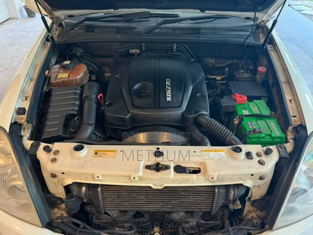 Micro Rexton 2008 SUV (Used)
