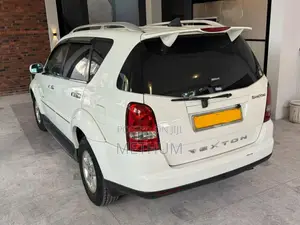 Micro Rexton 2008 SUV (Used)
